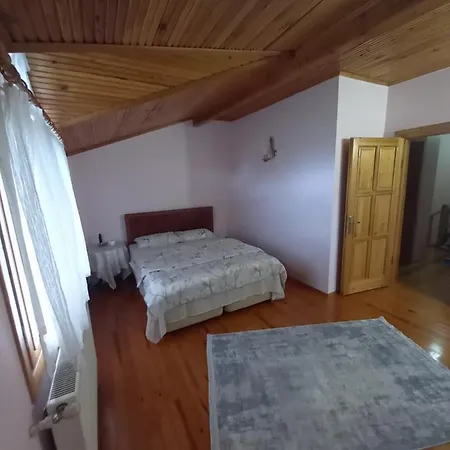 Villa Sapanca Villa Ayan