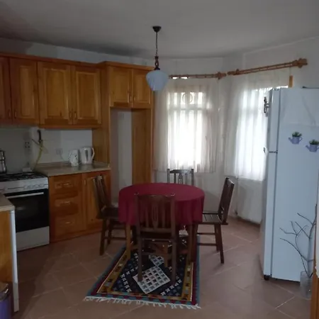 Sapanca Villa Ayan Villa